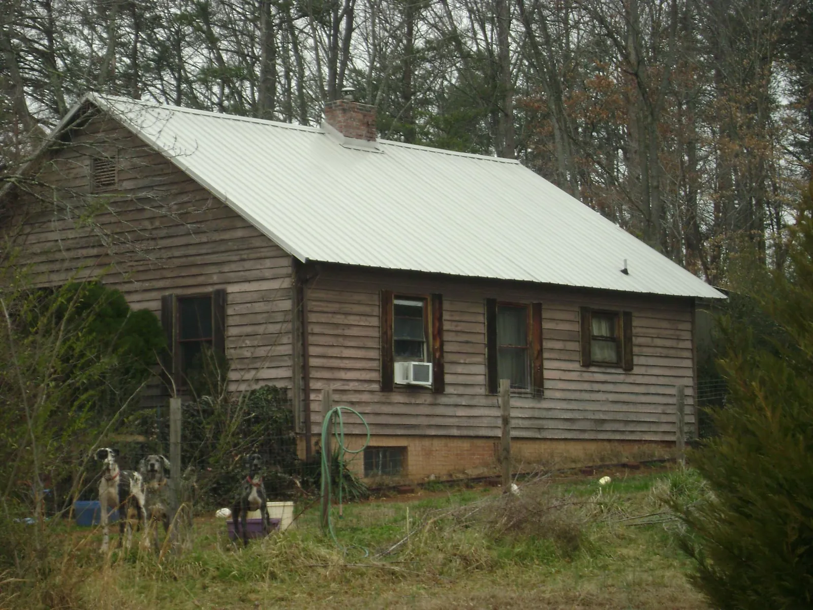 White metal roof on an old wood sided farmhouse, from a Asphalt Shingle Roof Repair job in Deerfield